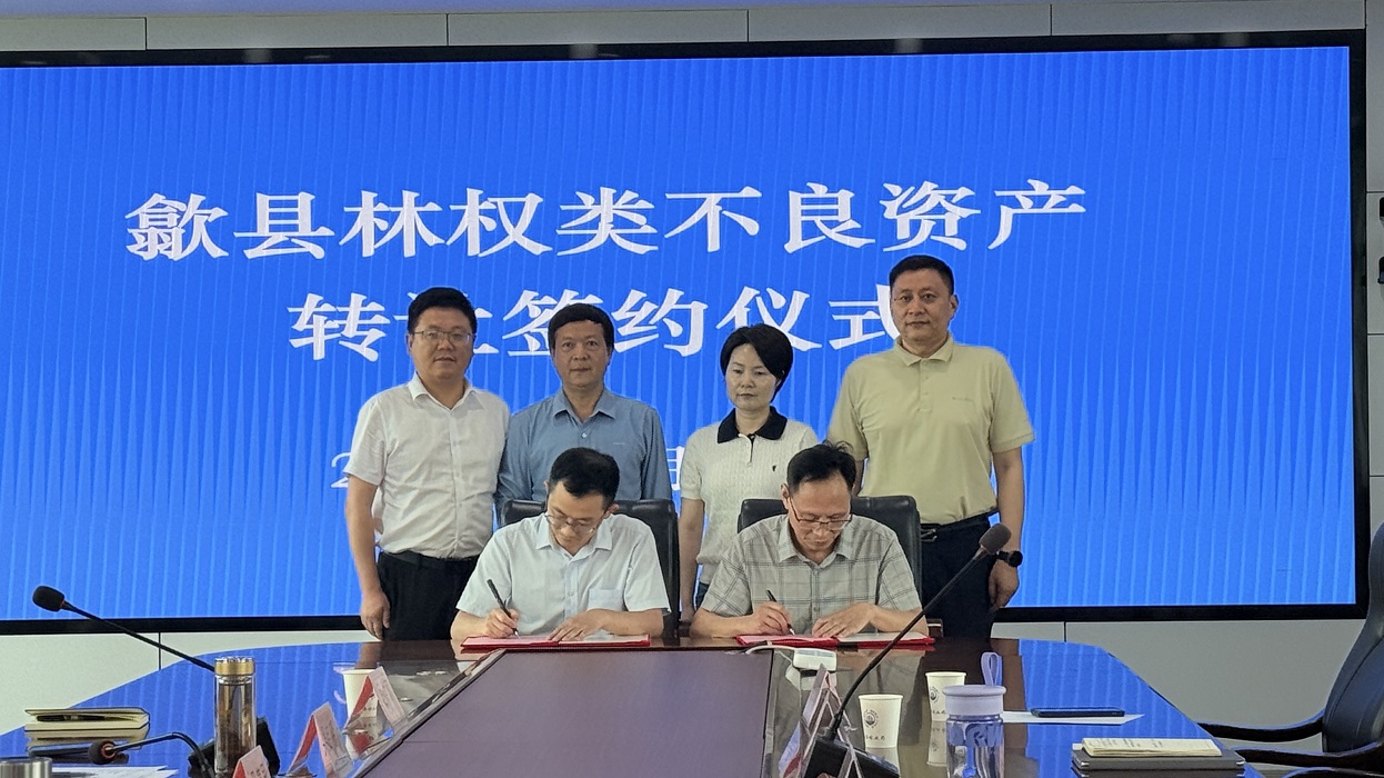 盘活林权不良资产释放绿色生态动能 &mdash;&mdash;歙县国企以改革实践激活山林沉睡价值